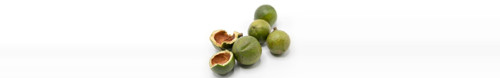 Macadamia nuts