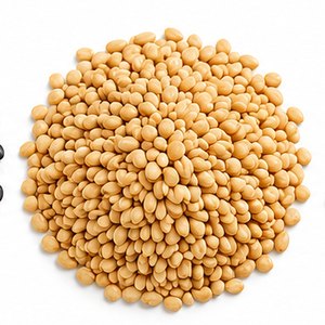 Brown Sesame Seeds