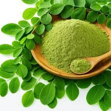 Bowl of moringa powder
